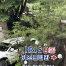 아이리스키즈풀빌라2 | [가평] 서울근교 가평 아이리스키즈풀빌라 B동 5호 후기｜복층 키즈풀빌라에서 즐긴 완벽한 가족여행...