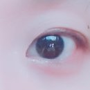 어울림안경.콘택트 이미지