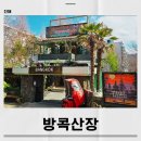 고려산장식당 | 창원진해맛집 방콕산장 군항제 경화역 벚꽃길 앞 태국요리 후기