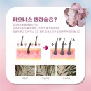 르네드보떼