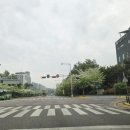 롯데마트 이팝나무 이미지