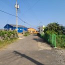 온평리-5 이미지