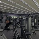 뉴엔드 짐 이미지