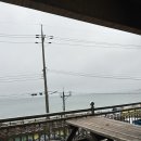 방파제7호횟집 | 경북 울진 죽변항 횟집추천 방파제 7호횟집 바다바로앞 오션뷰횟집