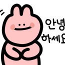 별빛회포차 이미지