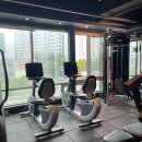 동현피트니스 인지동2호점 | [운동] 안성헬스 &amp; 안성피티 추천‼️ 동현 피트니스 당왕동1호점이 특별한 3가지 이유와 이용팁💡