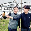 꿀벌기획