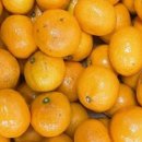 아달달농산 이미지