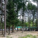 금원수목원수영장 이미지