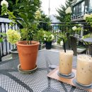 준나커피(June9coffee)