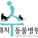 와니동물병원 이미지