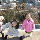 진동근린공원 이미지