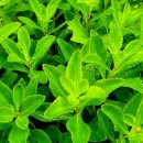 기린초등학교 이미지