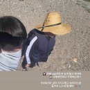 황금을따는마을(영) | 울진 스노쿨링 히든스팟 황금울진대게공원 다녀온 후기