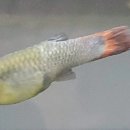 북광주동물약국 이미지