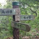 학산벌목