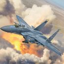 미국 공군 F-15 이글 전투기 배치 및 훈련 이미지