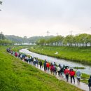 당진3동 이팝나무 이미지