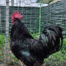 청계슈퍼 이미지