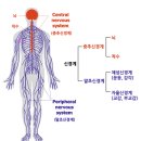 머슬케어필라테스지축점