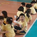 유영유치원 이미지