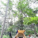 화왕산자연휴양림 이미지