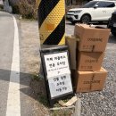 봄이 오긴 왔구만ㅣ브런치카페 피플러스 방문 후기