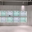 민들레애견 이미지