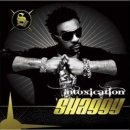 Shaggy-What&#39;s love(feat.Akon) 이미지