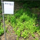 섭이농장 이미지