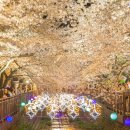 진해 인터시티호텔 이미지