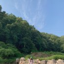 엄소리오토캠핑장 | [2021.06.19-20] 서울근교계곡캠핑장 : 엄소리오토캠핑장 후기
