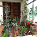 태종약국 이미지