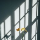 창조아카데미입시미술