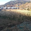 수안보초교 병설유치원 | 충북 충주시 수안보면 충주 토지(답)경매 물건[2020타경4580]