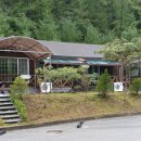 숲속의 집 이미지