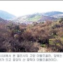 그릿시냇가 이미지