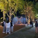 부산대학로 이미지