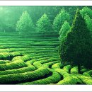 남구-019 이미지