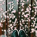 닥터발가락 이미지