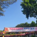 이마트24 부천도당고점 | [Travel] 부천 &#39;도당동 장미꽃축제&#39; 유모차? 휠체어? 주차장? 현지인 꿀팁 대방출+사진90장 주의