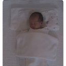 트리시아 산후조리원 이미지