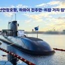 ⚓ 도산안창호함, 하와이 진주만-히캄 기지 입항! 이미지
