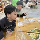 1월 23일 과학 활동🧪 - 설탕물을 만들어요💧 이미지