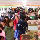 해안면힐링하우스 이미지