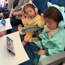 샤론휴게소 | 오키나와 여행 일정, 후기 day 1 어른2 유아2 3박 4일. 츄라우미, 모토부보쿠죠 야키니쿠, 라구나 가든...