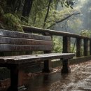 사랑을위하여 이미지