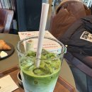 애플호텔 | 인천 네스트호텔 쿤스트라운지 카페 / 메뉴, 내돈내산 후기 (담온 말차라떼, 애플블룸티)