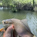 2박3일낚시터 이미지