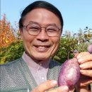 김동식스튜디오 이미지